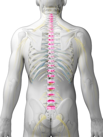 Back Pain Help Relief Chiropractor Reike Massage Schenectady Rotterdam Guilderland