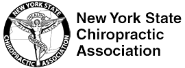 Adamec Chiropractic Rotterdam Schenectady Guilderland New York State Chiropractic Association